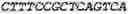 Fig. 45 - Binding molecules, especially antibodies, binding to L1CAM (CD171)