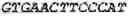 Fig. 46 - Binding molecules, especially antibodies, binding to L1CAM (CD171)