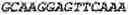 Fig. 49 - Binding molecules, especially antibodies, binding to L1CAM (CD171)