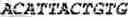 Fig. 63 - Binding molecules, especially antibodies, binding to L1CAM (CD171)