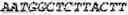 Fig. 69 - Binding molecules, especially antibodies, binding to L1CAM (CD171)