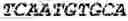 Fig. 71 - Binding molecules, especially antibodies, binding to L1CAM (CD171)