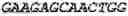 Fig. 72 - Binding molecules, especially antibodies, binding to L1CAM (CD171)