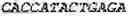 Fig. 77 - Binding molecules, especially antibodies, binding to L1CAM (CD171)
