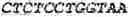 Fig. 79 - Binding molecules, especially antibodies, binding to L1CAM (CD171)