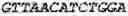 Fig. 85 - Binding molecules, especially antibodies, binding to L1CAM (CD171)