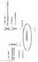 Fig. 02 - Anti-CD100 antibodies and methods for using the same