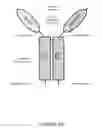 Fig. 09 - ALK7 ANTAGONISTS AND USES THEREOF