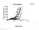 Fig. 71 - Antibodies against OX40 and uses thereof