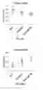 Fig. 77 - Antibodies against OX40 and uses thereof