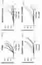 Fig. 87 - Antibodies against OX40 and uses thereof