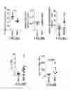 Fig. 12 - COMPOSITIONS AND METHODS OF USE FOR AUGMENTED IMMUNE RESPONSE AND CANCER THERAPY