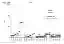 Fig. 49 - Antibody therapeutics that bind STAT3