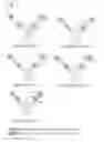 Fig. 02 - Bispecific antibody format
