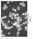 Fig. 09 - ENCAPSULATED MATERIALS IN POROUS PARTICLES