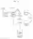 Fig. 02 - TRYPSIN-FREE CELL STAMP SYSTEM AND USE THEREOF