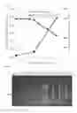 Fig. 06 - 1,4-dioxane-degrading bacteria culture method, medium, and 1,4-dioxane treatment method using 1,4-dioxane-degrading bacteria