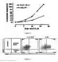 Fig. 02 - Means and methods for influencing the stability of antibody producing cells