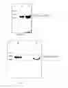 Fig. 02 - Codon optimized polynucleotide for high level expression of CRM197