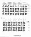 Fig. 07 - Method for selecting polynucleotides encoding antigen-specific immunoglobulin subunit