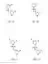 Fig. 02 - Antisense antiviral compounds and methods for treating a filovirus infection