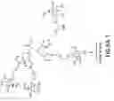 Fig. 07 - Tetragalnac and peptide containing conjugates and methods for delivery of oligonucleotides