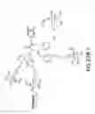 Fig. 158 - Tetragalnac and peptide containing conjugates and methods for delivery of oligonucleotides