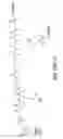 Fig. 167 - Tetragalnac and peptide containing conjugates and methods for delivery of oligonucleotides