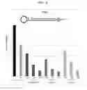 Fig. 06 - Single-stranded nucleic acid molecule for regulating expression of gene having delivering function