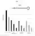 Fig. 07 - Single-stranded nucleic acid molecule for regulating expression of gene having delivering function
