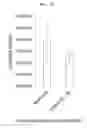 Fig. 10 - Single-stranded nucleic acid molecule for regulating expression of gene having delivering function