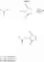 Fig. 12 - Single-stranded nucleic acid molecule for regulating expression of gene having delivering function
