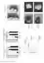 Fig. 09 - Microrna inhibitor system and methods of use thereof
