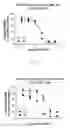Fig. 01 - ANDROGEN RECEPTOR NUCLEIC ACIDS AND USES THEREOF