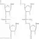 Fig. 08 - ANDROGEN RECEPTOR NUCLEIC ACIDS AND USES THEREOF