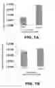 Fig. 02 - RECOMBINANT BACTERIUM TO DECREASE TUMOR GROWTH