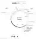 Fig. 07 - RECOMBINANT BACTERIUM TO DECREASE TUMOR GROWTH