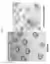 Fig. 10 - COMPOSITIONS AND METHODS TO ENHANCE MECHANICAL STALK STRENGTH IN PLANTS