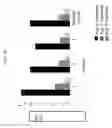 Fig. 23 - COMPOSITIONS AND METHODS TO ENHANCE MECHANICAL STALK STRENGTH IN PLANTS