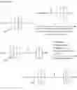 Fig. 07 - Amino acid derivatives