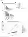 Fig. 07 - Cell lines