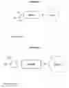 Fig. 45 - Cell lines