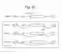 Fig. 06 - Methods for characterizing alternatively or aberrantly spliced mRNA isoforms
