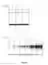 Fig. 06 - High throughput sequencing