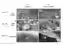 Fig. 08 - Engineered skin equivalent, method of manufacture thereof and products derived therefrom