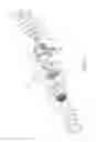 Fig. 06 - Dual check backflow preventer