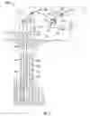 Fig. 02 - Coiled Tubing Degradable Flow Control Device