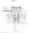 Fig. 02 - High pressure fuel supply pump