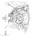 Fig. 06 - Axial hydraulic piston pump