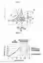 Fig. 04 - Impeller and rotary machine